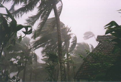  Va-t'en, me dit la bise,